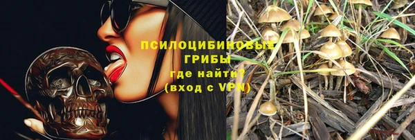 соль курить ск Белокуриха